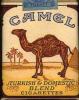 Camels.JPG